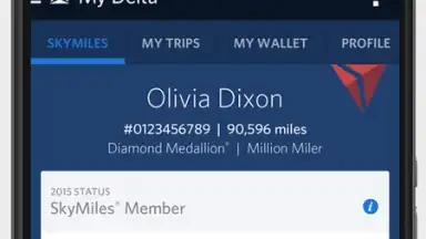 Fly Delta скриншот 6