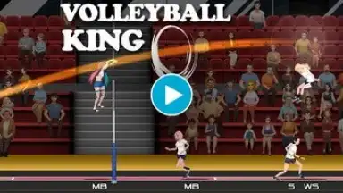 VolleyBall King скриншот 1