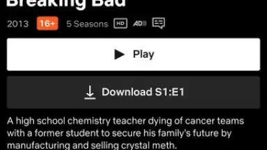 Netflix (Android TV) скриншот 15