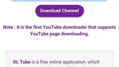 DL Tube скриншот 1