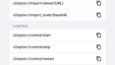 v2RayTun скриншот 10