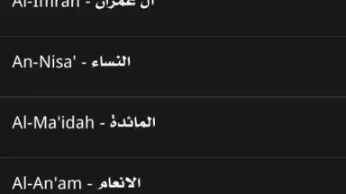 Radio Quran скриншот 4