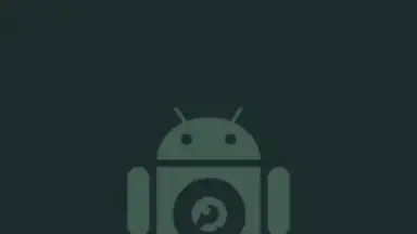 DroidCam скриншот 1