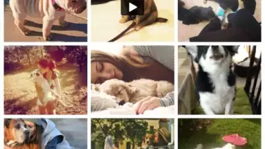 We Heart It скриншот 2