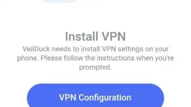 Veilduck VPN скриншот 5