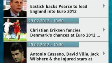 UEFA EURO 2012 by Carlsberg скриншот 1