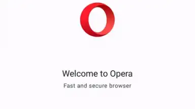 Opera Browser скриншот 1