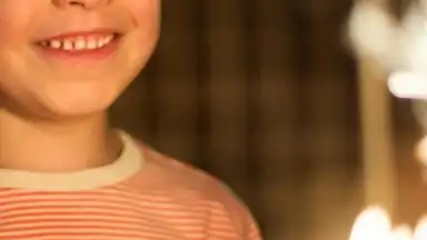 Sony Album скриншот 1