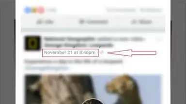 Daily Video Downloader скриншот 3
