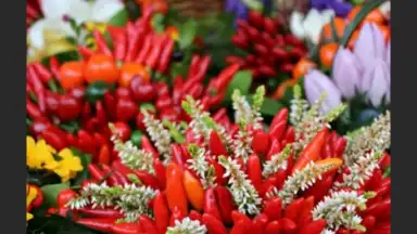 Camera Connect скриншот 6