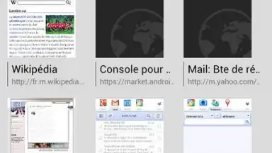 Tint Browser скриншот 4