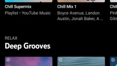 Vanced Music скриншот 2