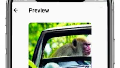 DALL-E : AI Image Generator скриншот 1