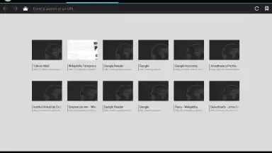 Tint Browser скриншот 2