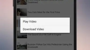 XVideo скриншот 2