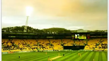 Crick Duck скриншот 3