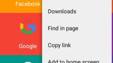 BrowserR скриншот 4