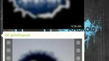OGWhatsApp скриншот 1