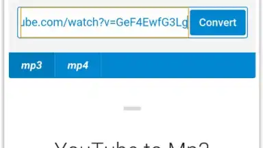 Download MP3 From YouTube Songs скриншот 3