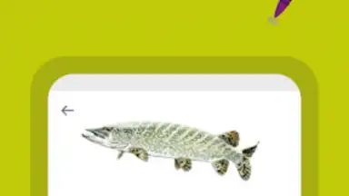 Génération Pêche скриншот 1