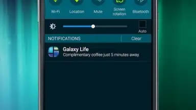 Samsung Galaxy Life скриншот 2