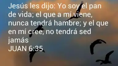 Promesas скриншот 7