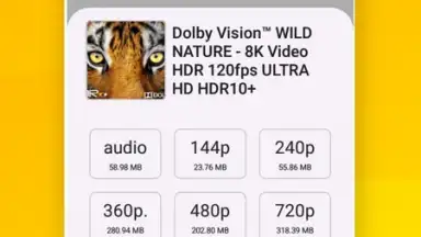 Vidora YouTube Downloader | free & fast скриншот 13