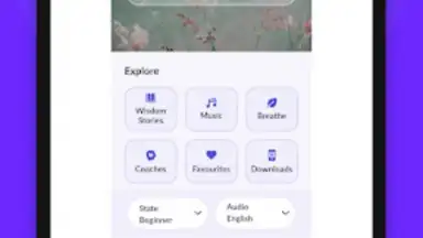 Level Supermind: Meditations скриншот 3