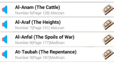 Священный Коран скриншот 4