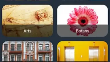 Bluebird Russian скриншот 6