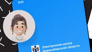 Дневник Новосибирской области скриншот 15