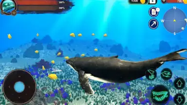 The Humpback Whales скриншот 1