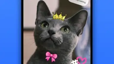 Home Up скриншот 3