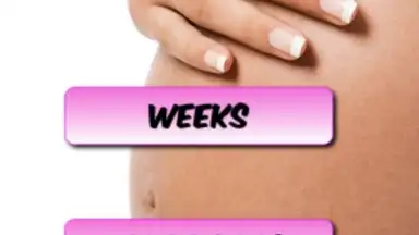 Pregnancy Weekly скриншот 1