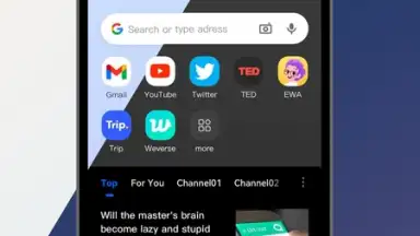 DDU Browser скриншот 4
