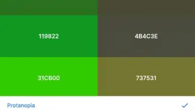 Coolors скриншот 1