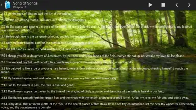 Holy Bible King James Version скриншот 1