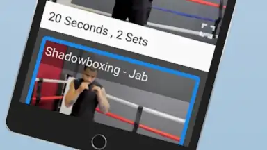 Ultimate MMA Fighting Program скриншот 3