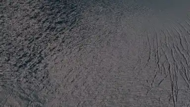 Instander скриншот 9