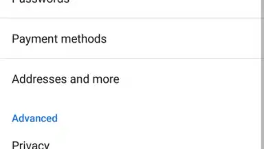 Bromite скриншот 1