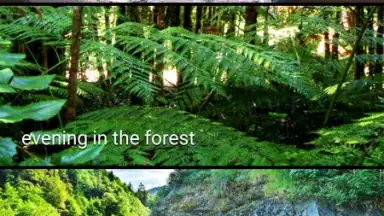 Lusity скриншот 7