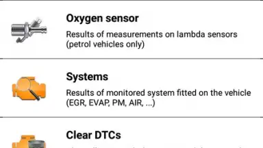 EOBD Facile скриншот 3