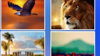 Transparent Screen & Live Wallpaper скриншот 7