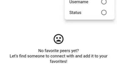 RustDesk скриншот 10