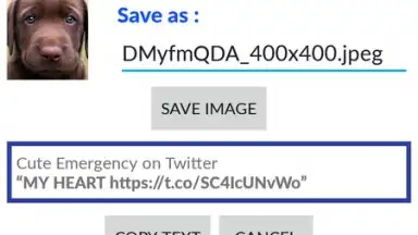 Video Downloader for Twitter скриншот 1