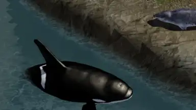 Orca Simulator скриншот 2
