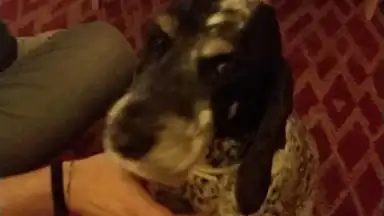 V Camera скриншот 4