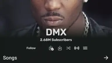 RiMusic скриншот 5