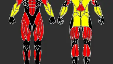 GymUP скриншот 2