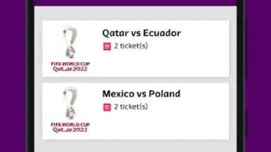 FIFA World Cup 2022™ Tickets скриншот 1